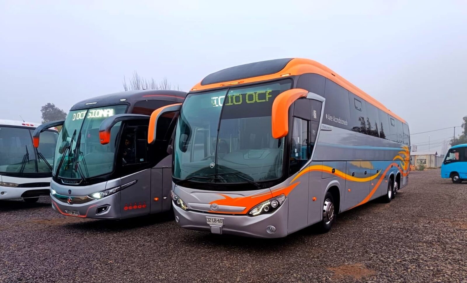 Buses de turismo Marci Buses