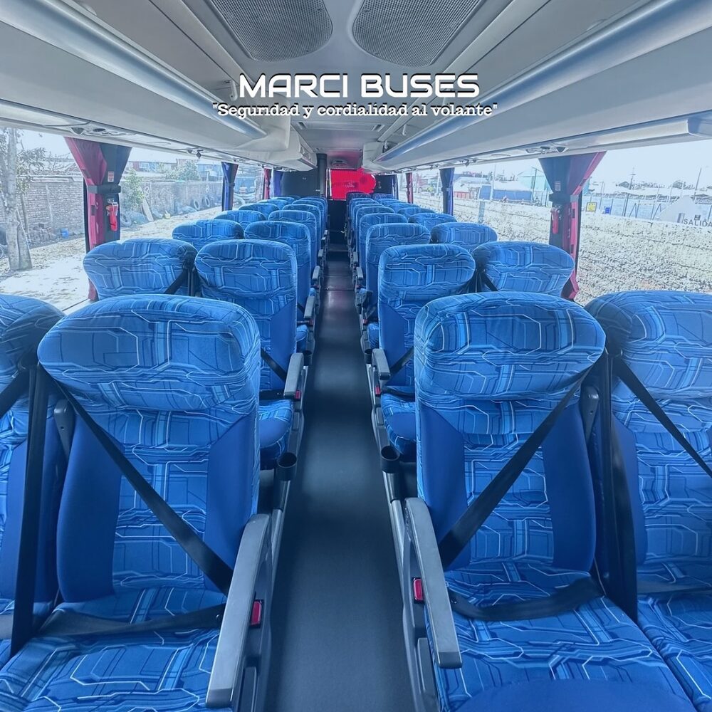 Interior de bus Marci Buses